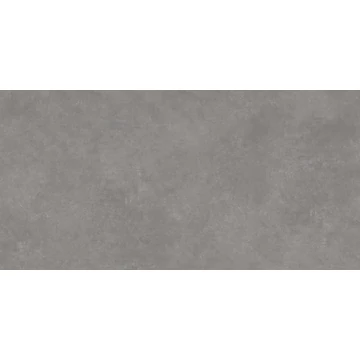 BIEN Concept Grey / Gri 60x120 Rec Matt