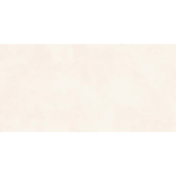 BIEN Concept White  30x60 Rec Matt